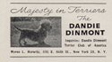Dandie Dinmont ad